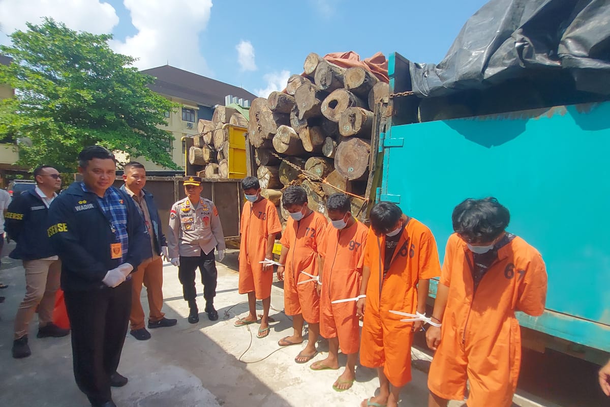 Angkut Ratusan Batang Kayu Log dari Hutan di Muba, 5 Sopir Ditangkap Polda Sumsel, Siapa Pemiliknya?