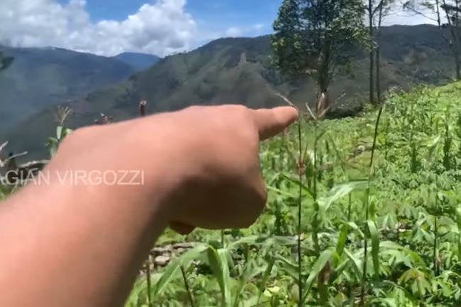 HOT NEWS…Mantan KKB Bocorkan Penembak Gelap Pesawat di Hutan Papua, Gak Pake Lama Langsung Disikat Sniper TNI
