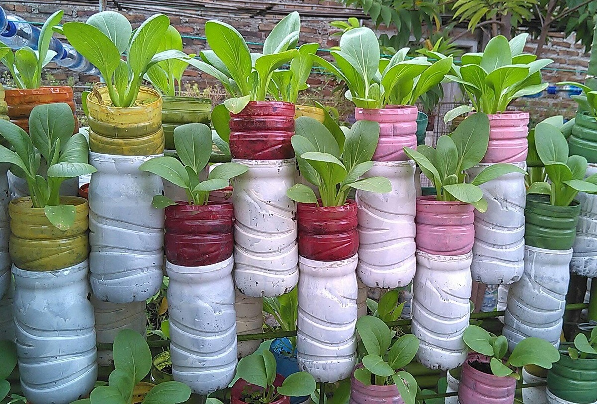 Taman Vertikal dari Botol Bekas, Solusi Cerdas Membuat Teras Rumah Hijau dan Segar