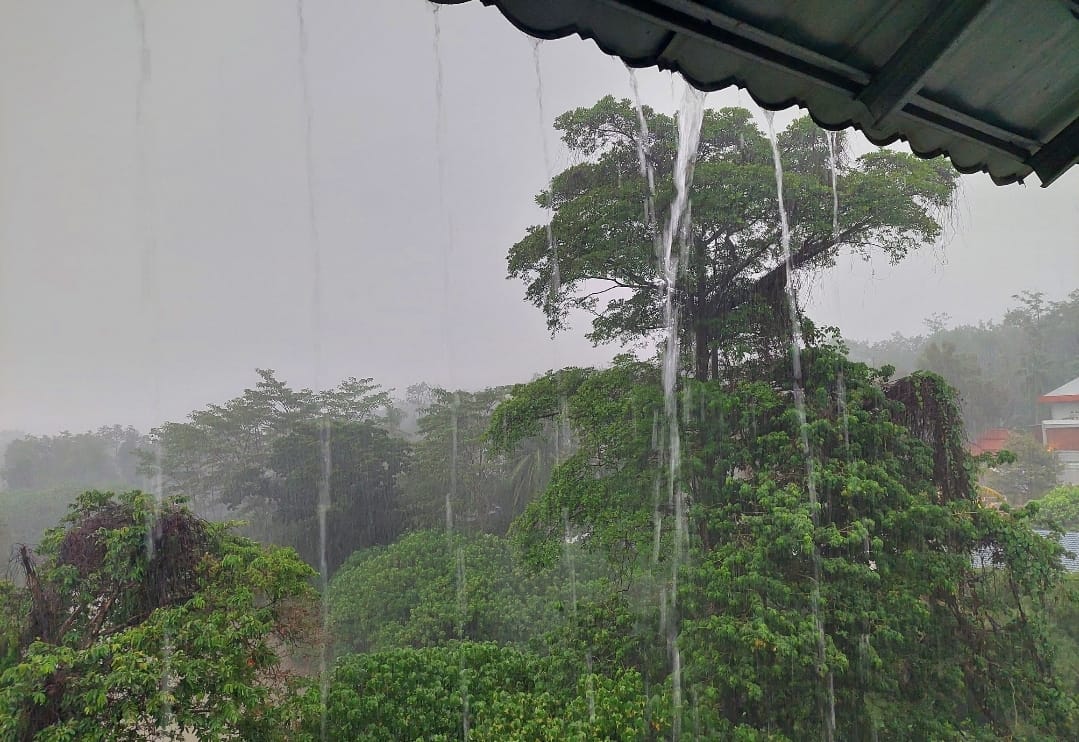 BMKG Prakirakan Hujan Ringan hingga Sedang Guyur 17 Daerah di Sumsel, Warga Diminta Waspada Pada 30-31 Januari