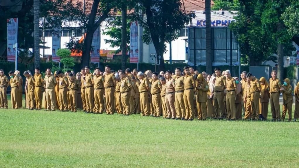 Pemprov Sumsel Ajukan 6.138 Formasi ASN Tahun Ini, Apa Saja? 