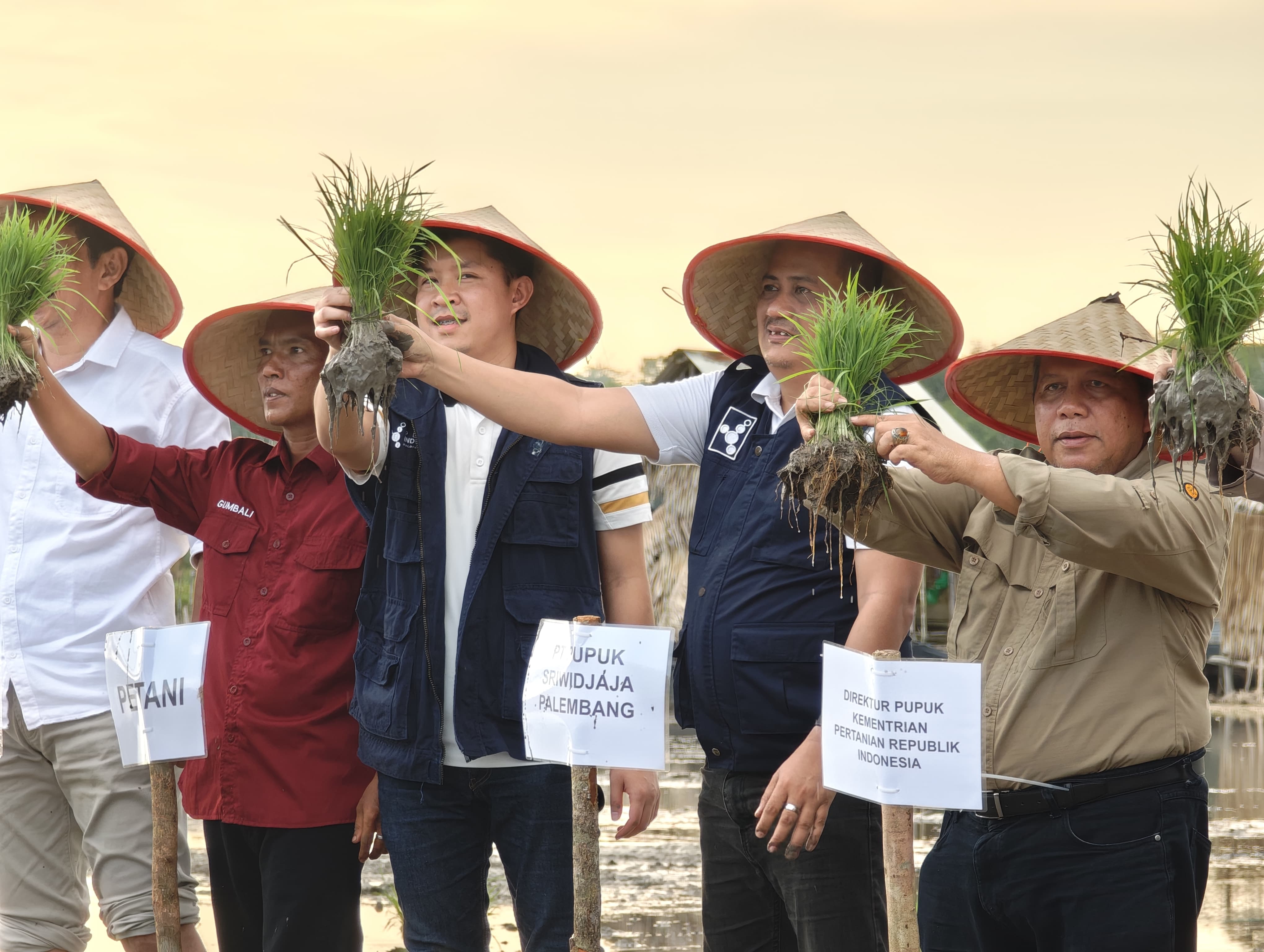 PT Pusri Palembang Laksanakan Tanam Perdana Padi di Bangka, Dukung Ketahanan Pangan Prabowo