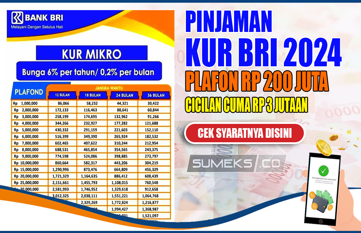 BURUAN! Ajukan KUR BRI 2024, Pinjam Rp200 Juta Cicilan Cuma Rp3 Jutaan Aja loh