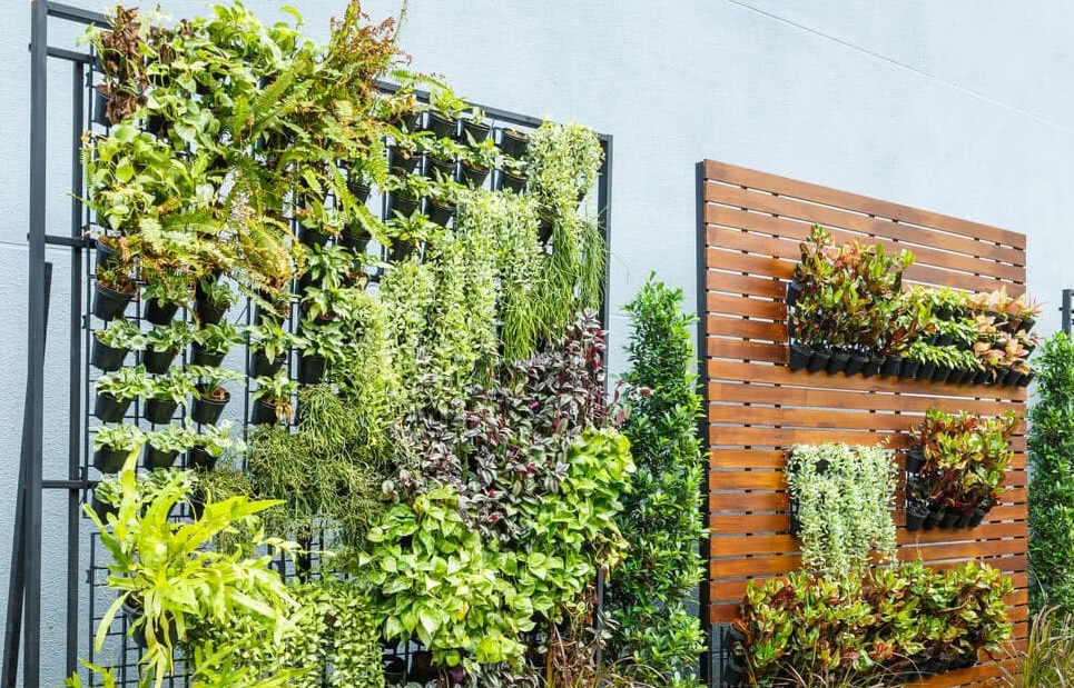  Yuk Kenali Vertical Garden dan Manfaatnya, Taman Modern Jadi Aestetic