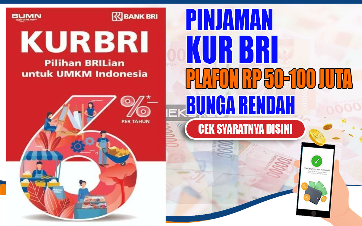 Segera Ajukan KUR BRI 2024! Plafon Rp50-100 Juta, Suku Bunga Rendah dan Syarat Mudah