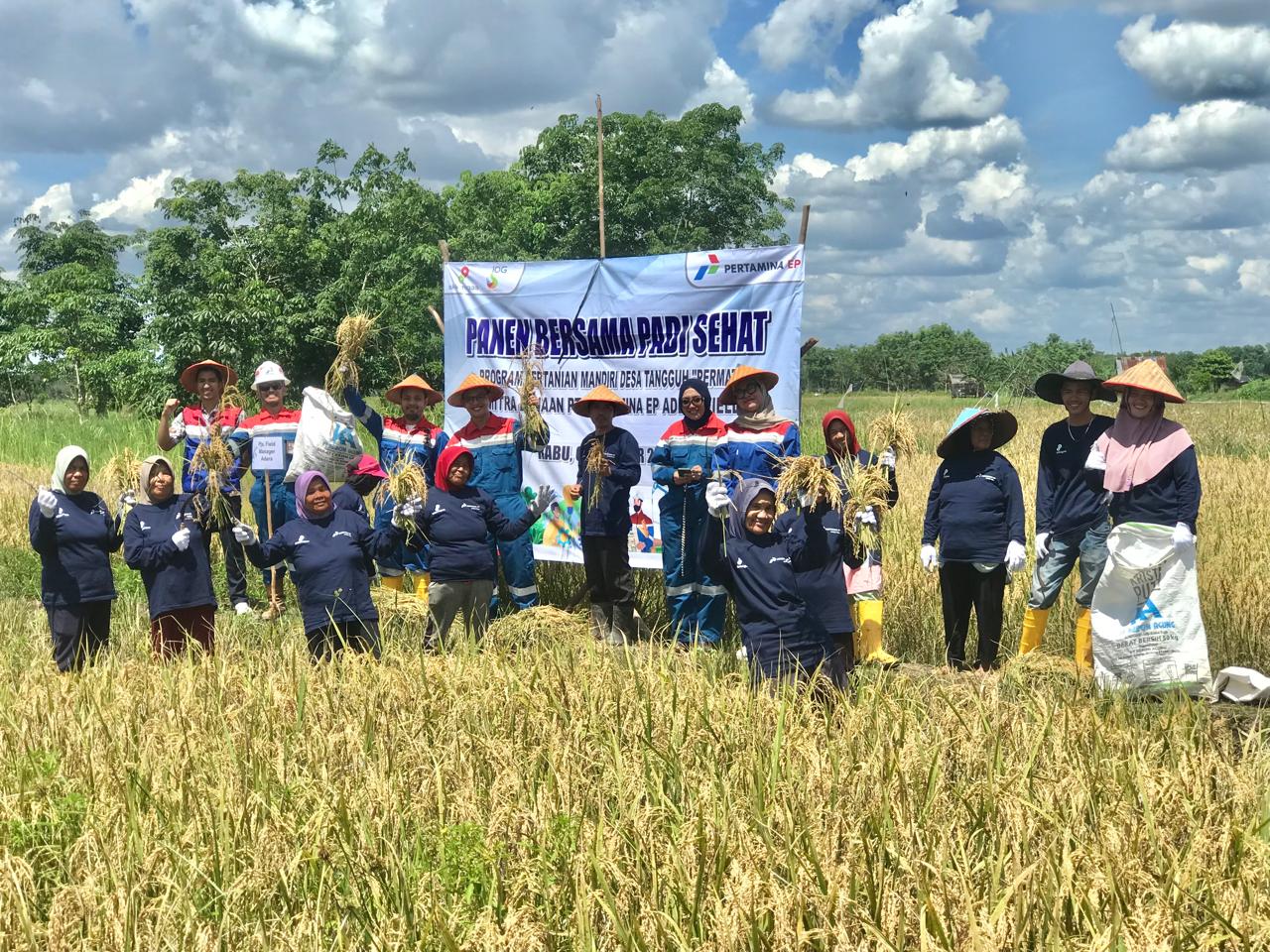 Bangkitnya Asa Masyarakat Desa Pengabuan melalui Program Permata Pertamina EP Adera Field