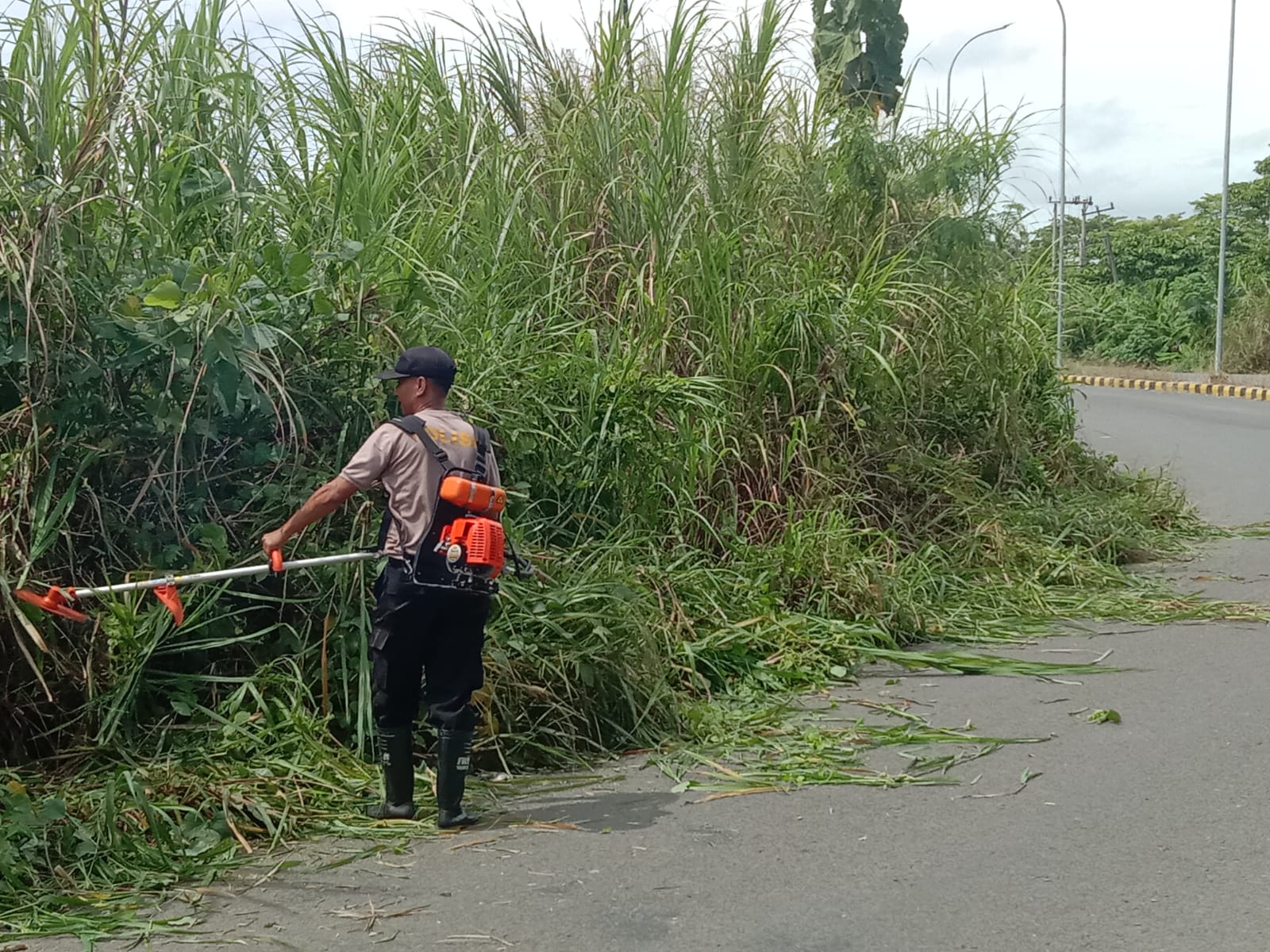 Cegah Lakalantas, Personel Polsek Jejawi Bersihkan Ilalang yang Tutupi Akses Jalan 