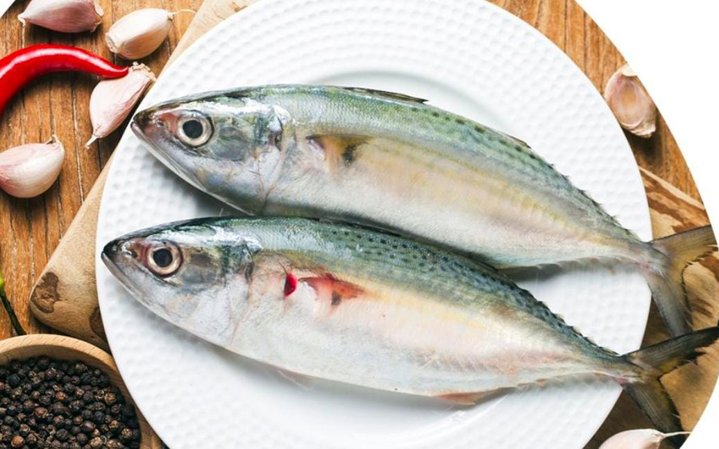 Ini Segudang Manfaat Mengkonsumsi Ikan Kembung, Pengganti Ikan Salem Yang Dilarang Diperjualbelikan.