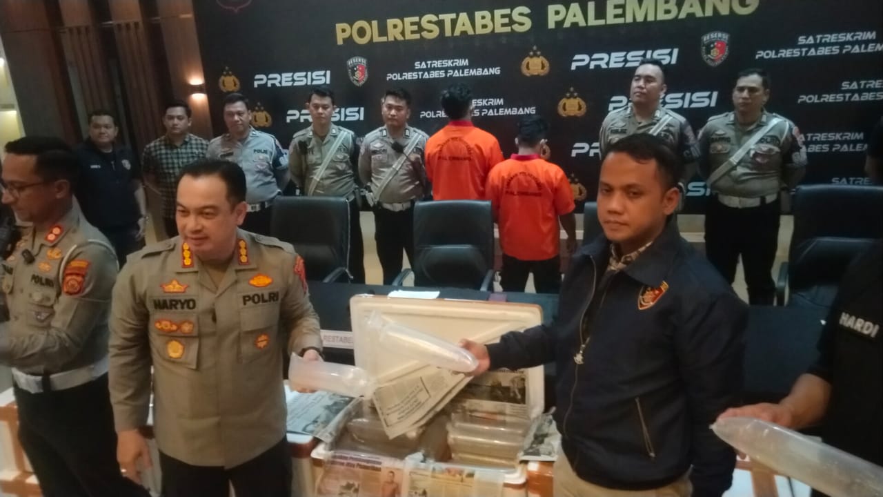 Curigai Mobil Melaju Zig Zag, Satlantas Gagalkan Penyelundupan Baby Lobster Senilai Rp189 Miliar