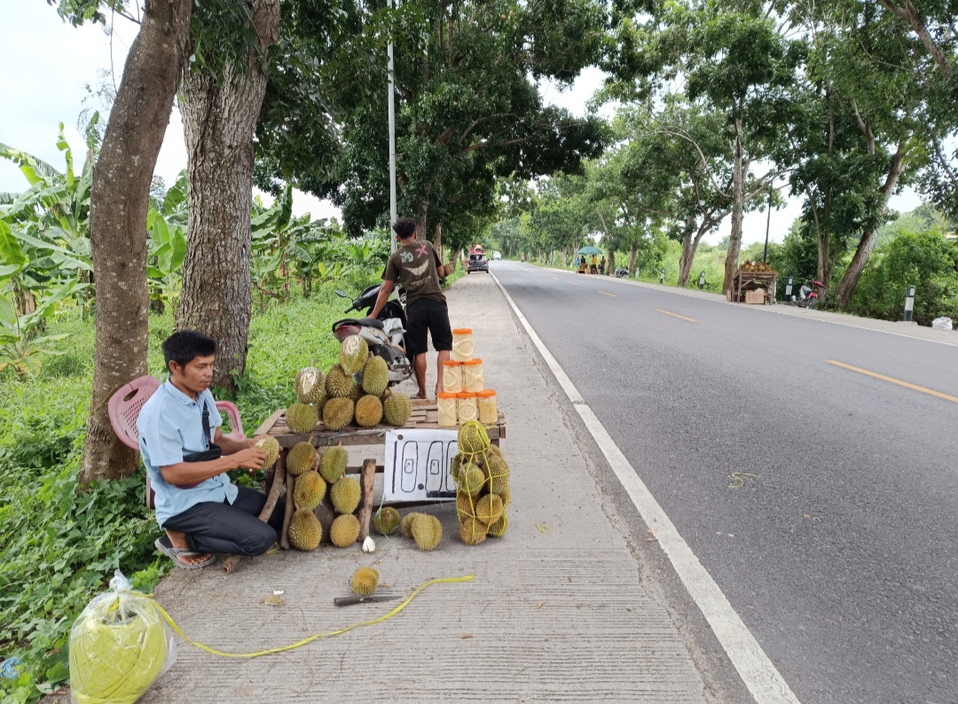 Pedagang Duren Musiman di Jalan Lintas Kayuagung Panen Rezeki