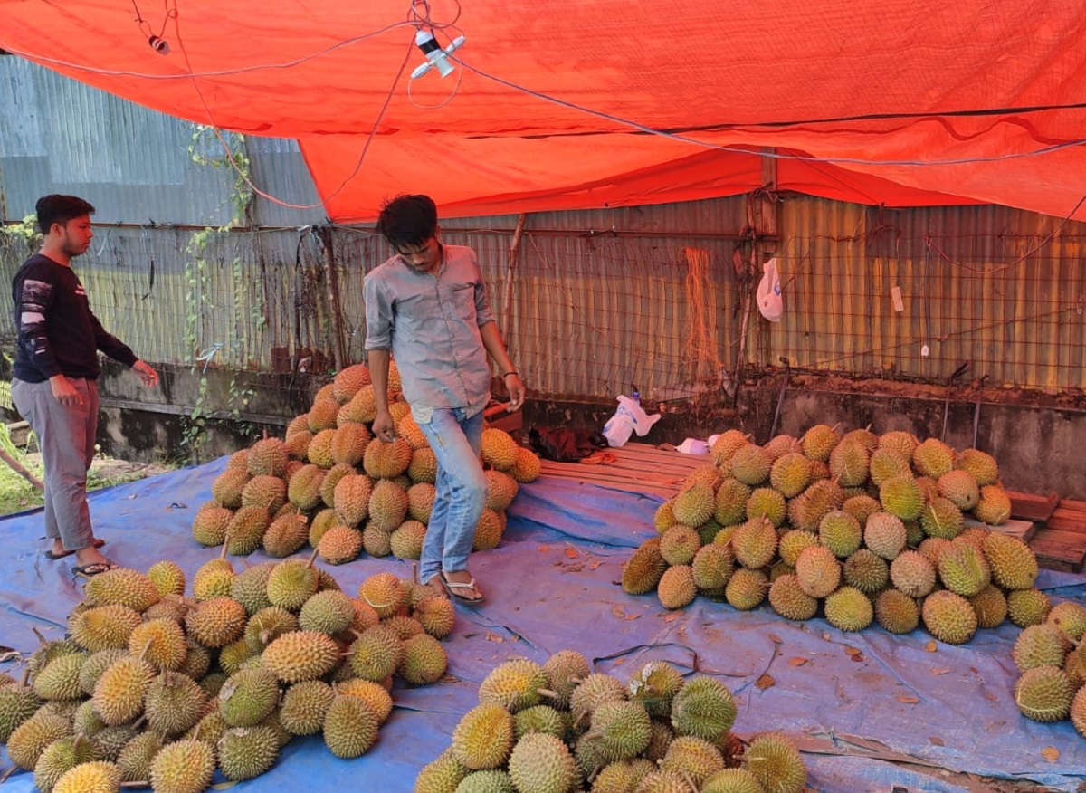 5 Kuliner Khas Sumsel Menggunakan Durian, Tawarkan Rasa Manis, Gurih dan Menggugah Selera 