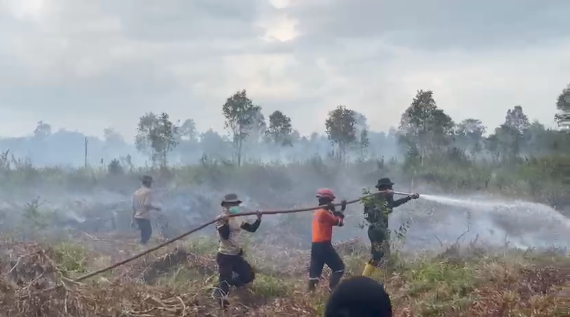 Ogan Ilir Kembali Dilanda Karhutla, 3 Hektare Lahan Gambut Tak Bertuan di Sungai Rambutan Terbakar