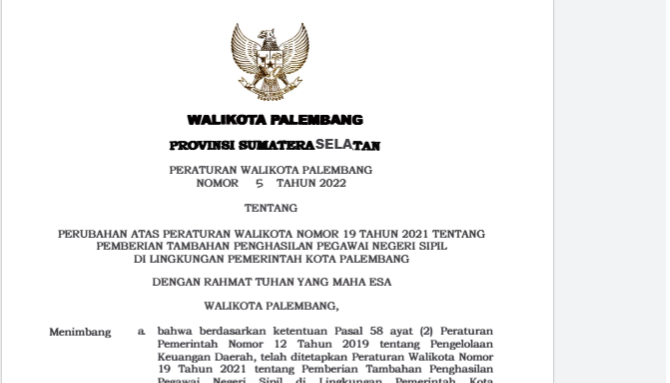 Alasan Pemkot Palembang Pangkas Pemangkasan TPP ASN Hingga 12,5 Persen di RAPBD 2026