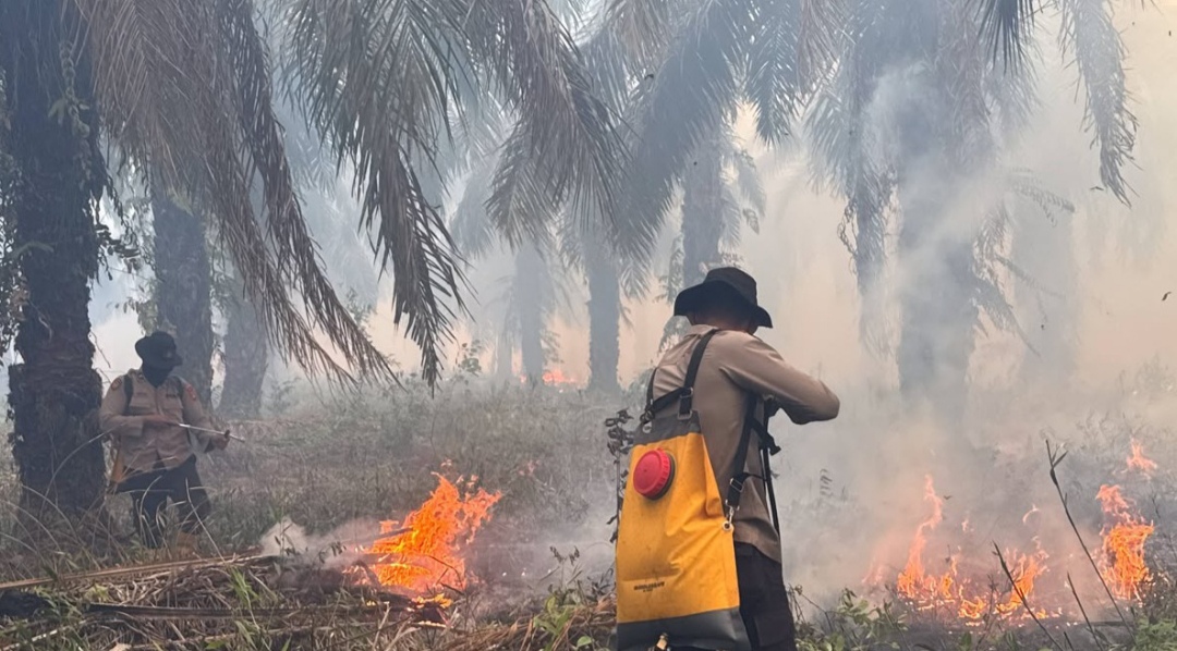 Operasi Aman Nusa II, Polda Sumsel Respon Cepat Tangani Karhutla di OKI
