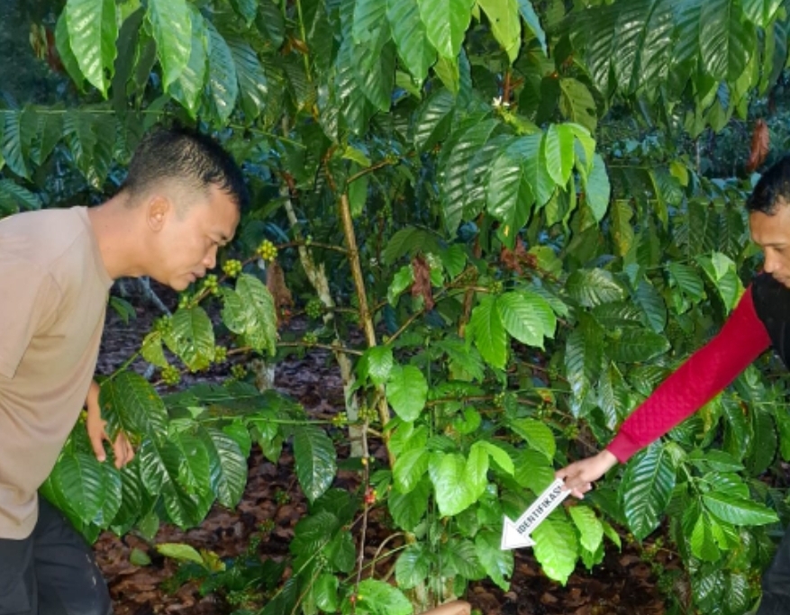 Kapolres OKU Ungkap Kasus Pembunuhan di Desa Mendingin