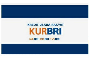 Lagi Ajukan KUR di Bank BRI? Berikut Panduan Agar Pinjaman Bisa Cair