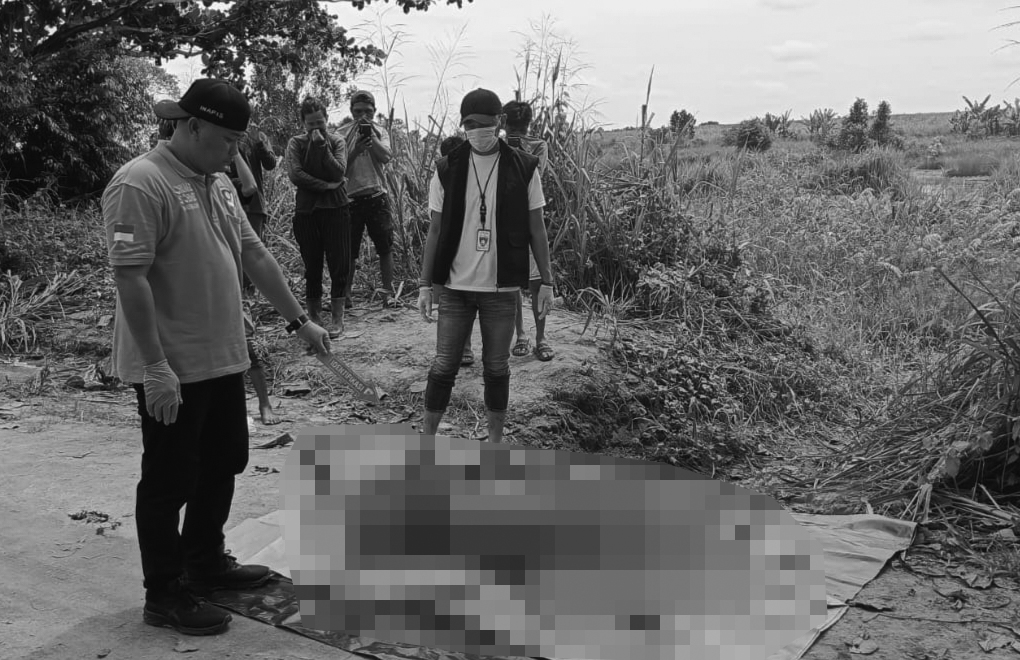 Penemuan Mayat di Rawa Lebak Kebun Tebu Milik PTPN 7 Cinta Manis Ogan Ilir, Polisi Ungkap Identitasnya