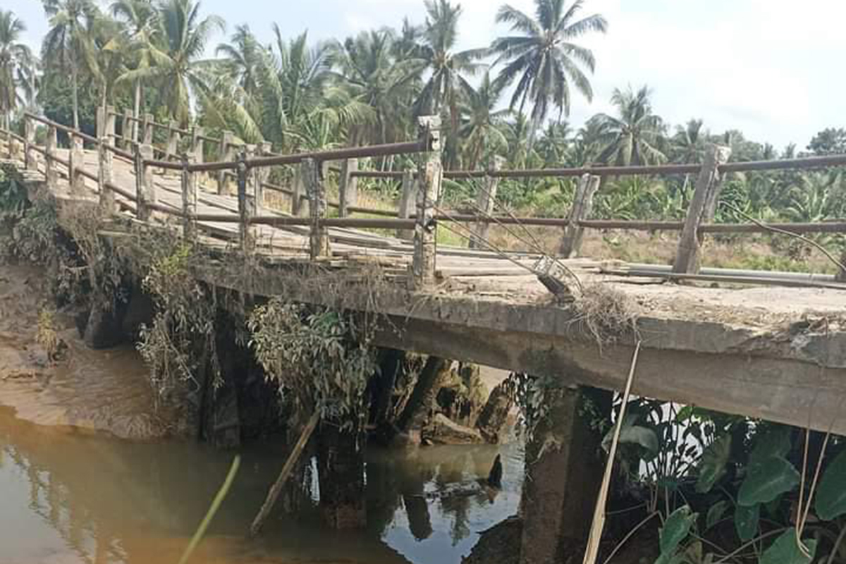 Kondisi Jembatan Desa Bintaran Kritis, Ancaman Bagi Keselamatan Warga