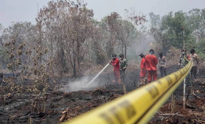 Kejari OKI Terima 2 SPDP Kasus Karhutla, Titik Hotspot Tertinggi se-Sumsel