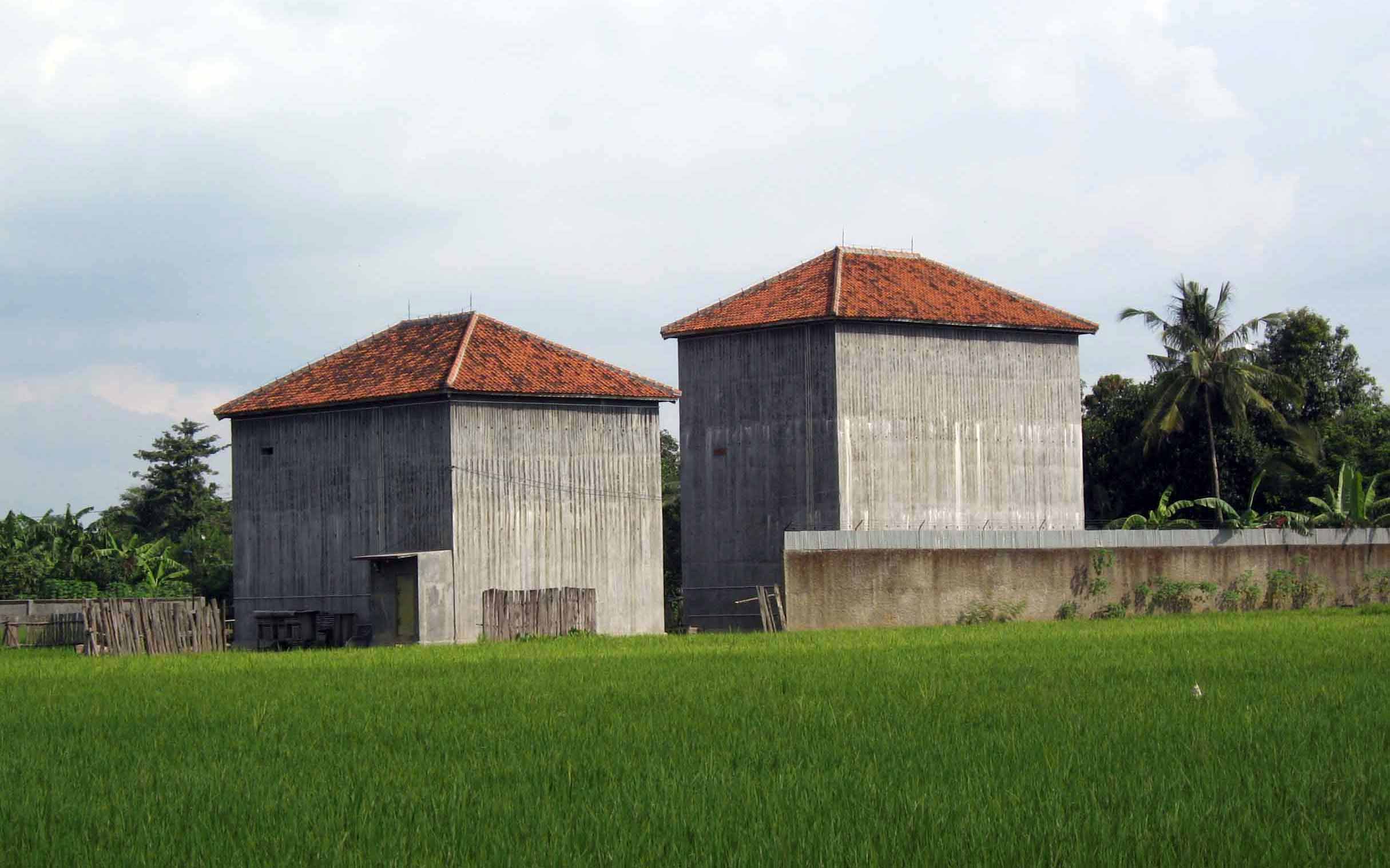 Perhatikan! Ciri-ciri Gedung Bikin Burung Walet Betah, Panggilan Sangat Mempengaruhi