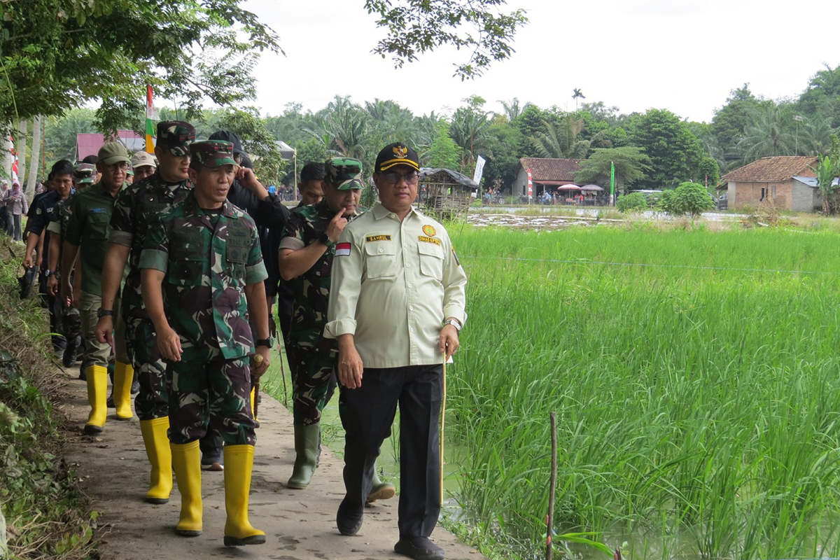 TNI dan Pemda OKI Bersatu Padu Genjot Produksi Padi,  Tingkatkan Kesejahteraan Petani Melalui Program Opla