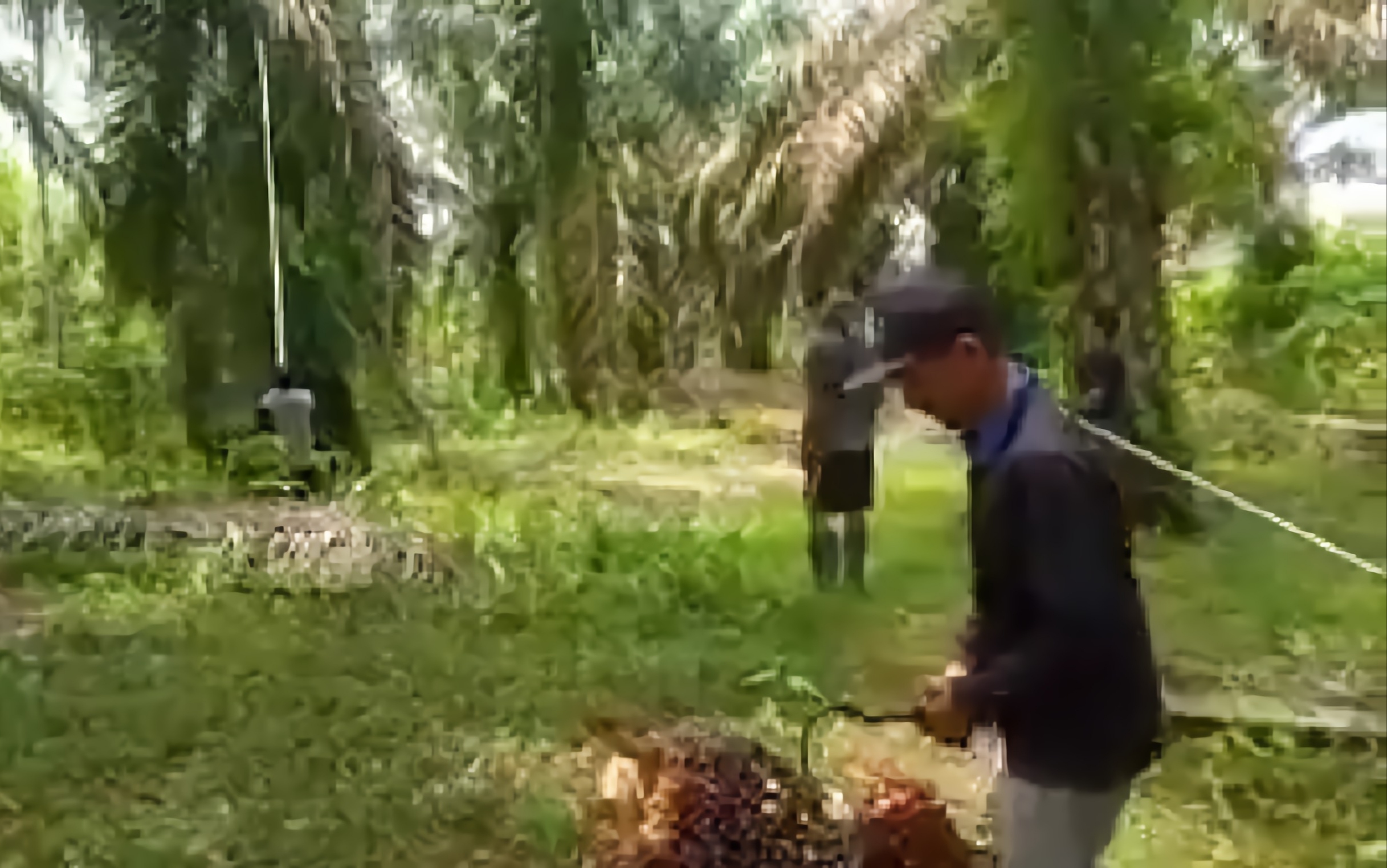 Petani Sawit Minta Pemerintah Turun Tangan