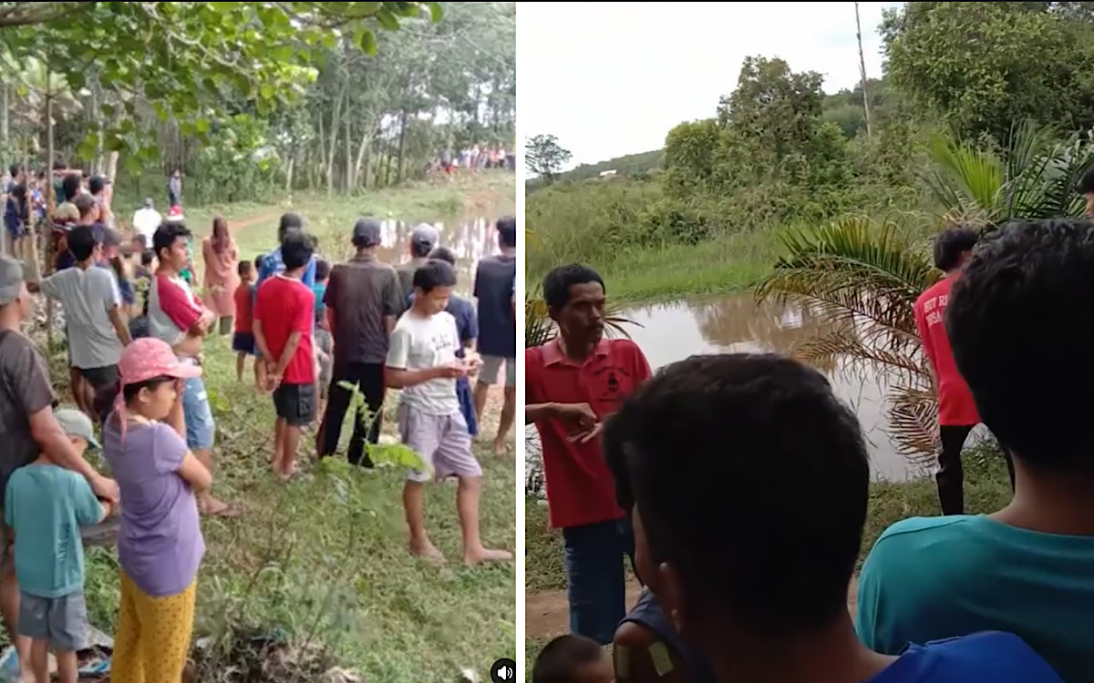 ALAMAK, Ayam Peliharaan Buat Lebaran Disikat Buaya, Warga Pampangan OKI Resah, Jangan Sampai Menyasar Manusia 