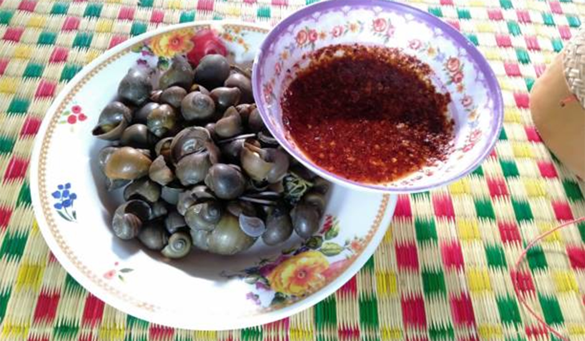 6 Manfaat Keong Sawah dan Cara Mengolahnya