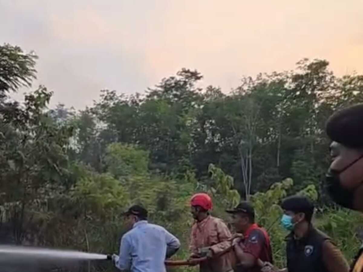 Sekda Lahat Berjibaku Padamkan Karhutla
