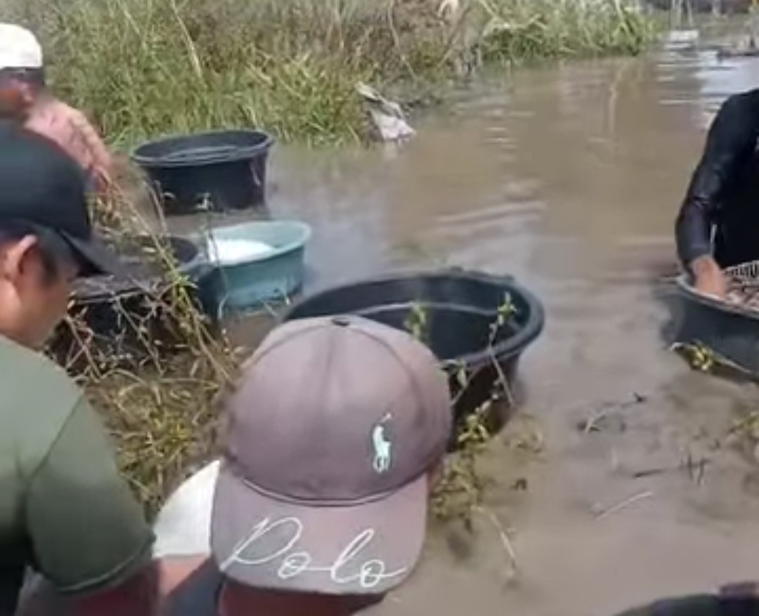 Warga Batu Ampar SP Padang OKI Berburu Emas di Rawa, Viral di Medsos