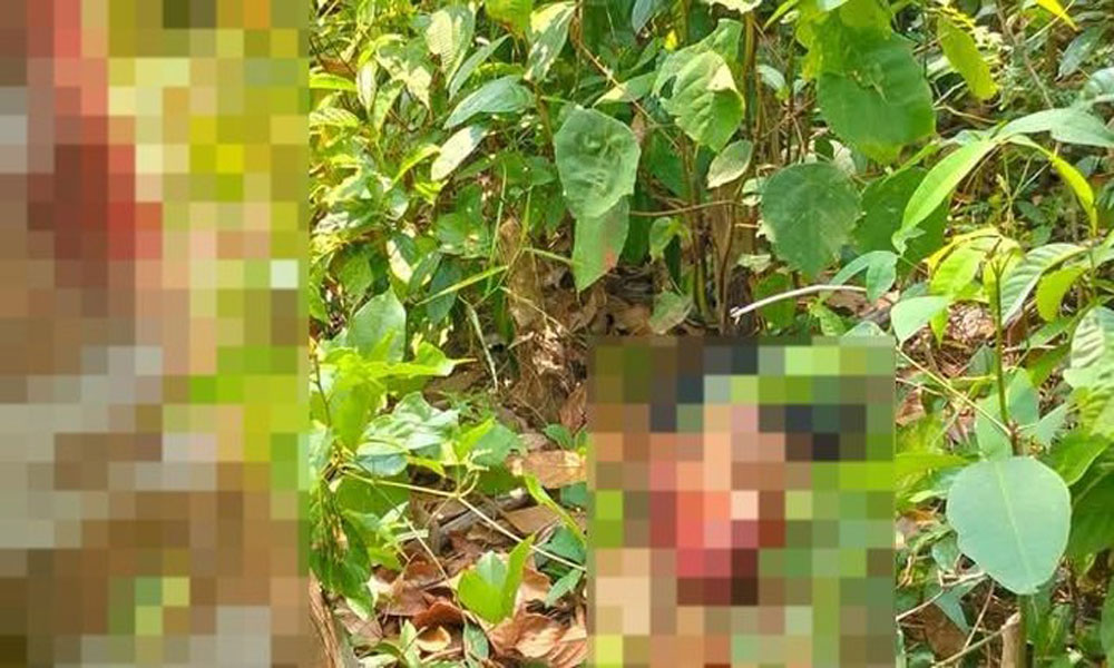 Kejam, Pelaku Pencurian Sawit di Muba Dimutilasi