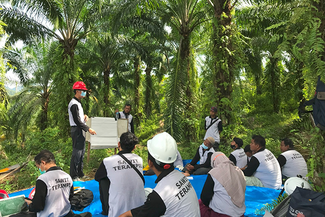 Program Sawit Terampil Sinar Mas Agribusiness and Food Dukung 520 Petani Indonesia Raih Sertifikasi RSPO