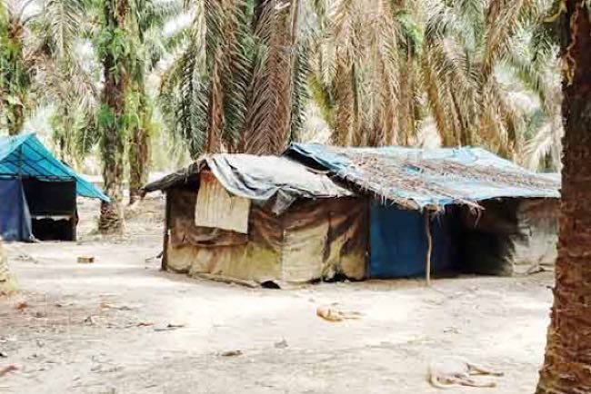 Ribuan Tak Punya KTP, Warga Suku Anak Dalam Nabung Uang dan Emas Dikubur Dalam Tanah di Tenda Pemukiman Mereka