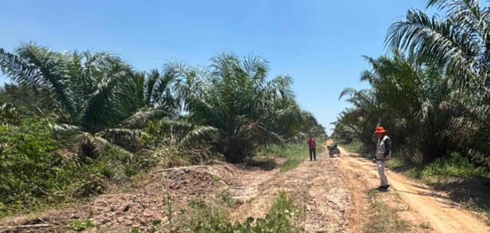 BPBD OKI Turunkan TRC Tangani Jalan Rusak di Mesuji Raya Akibat Hujan Deras