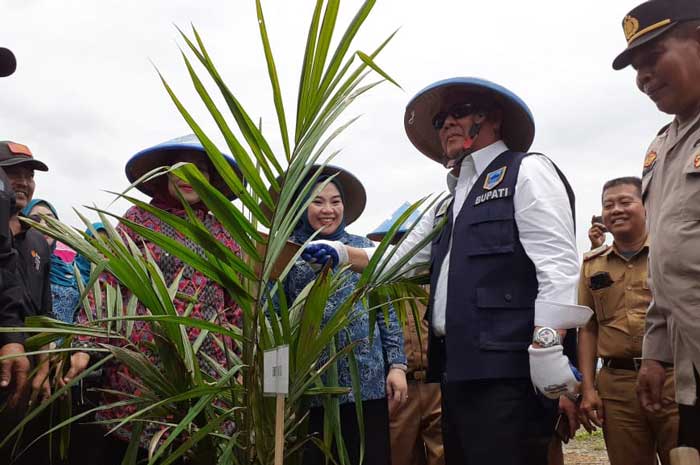 3.468 Hektare Sawit di Lahat Diremajakan