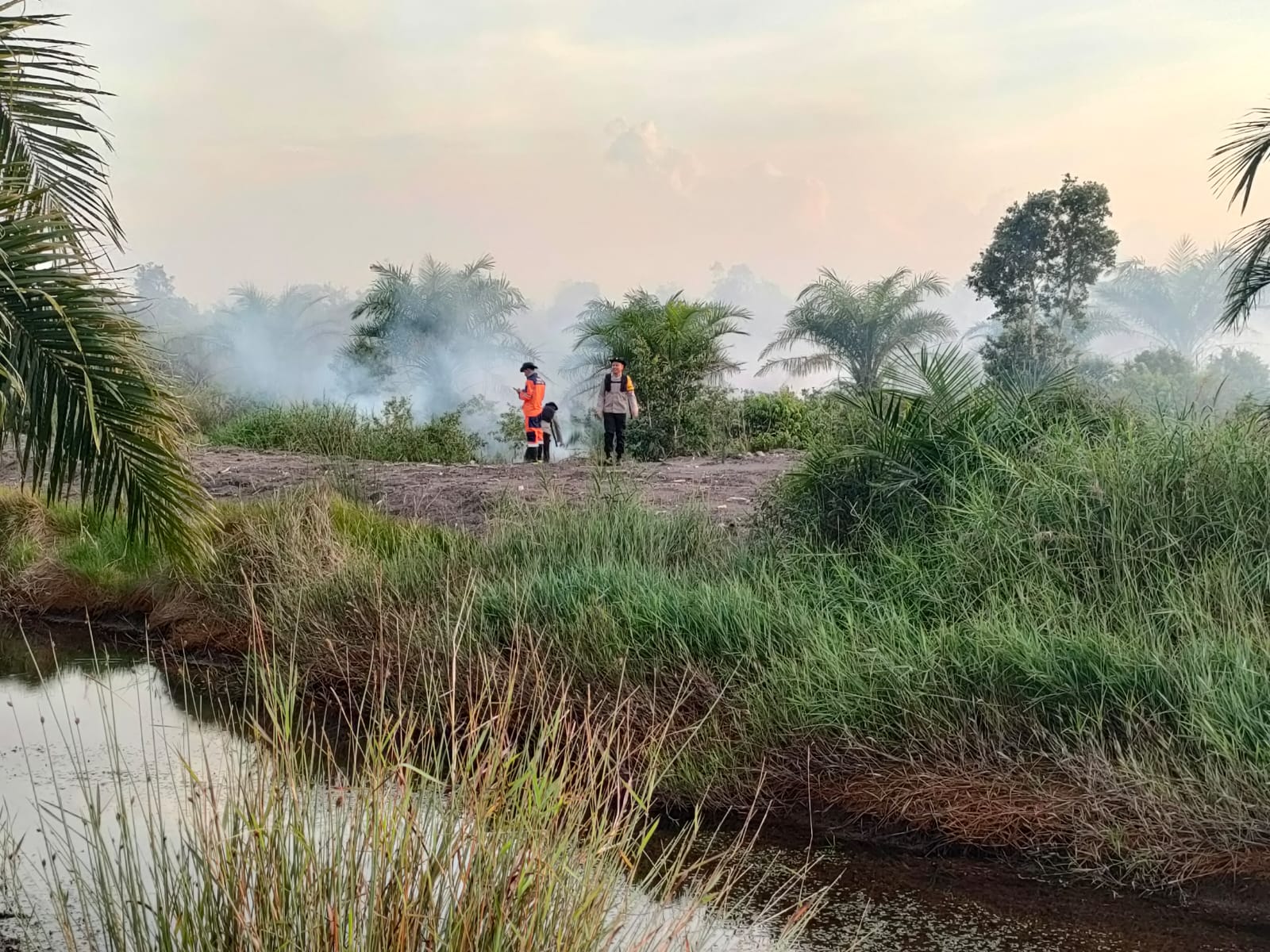 Kebakaran Lahan di Desa Parit Ogan Ilir, Personel Gabungan Berjibaku Padamkan Api dengan Alat Seadanya