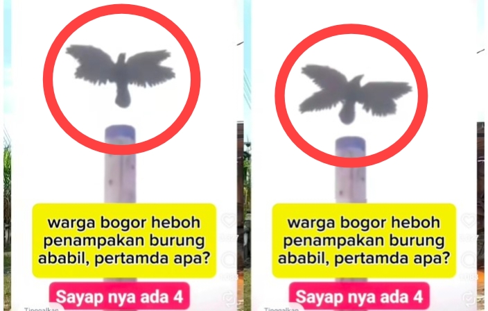 Warga Bogor Dihebohkan Video Penampakan Burung Ababil, Netizen Ramai: Pertanda Apa?