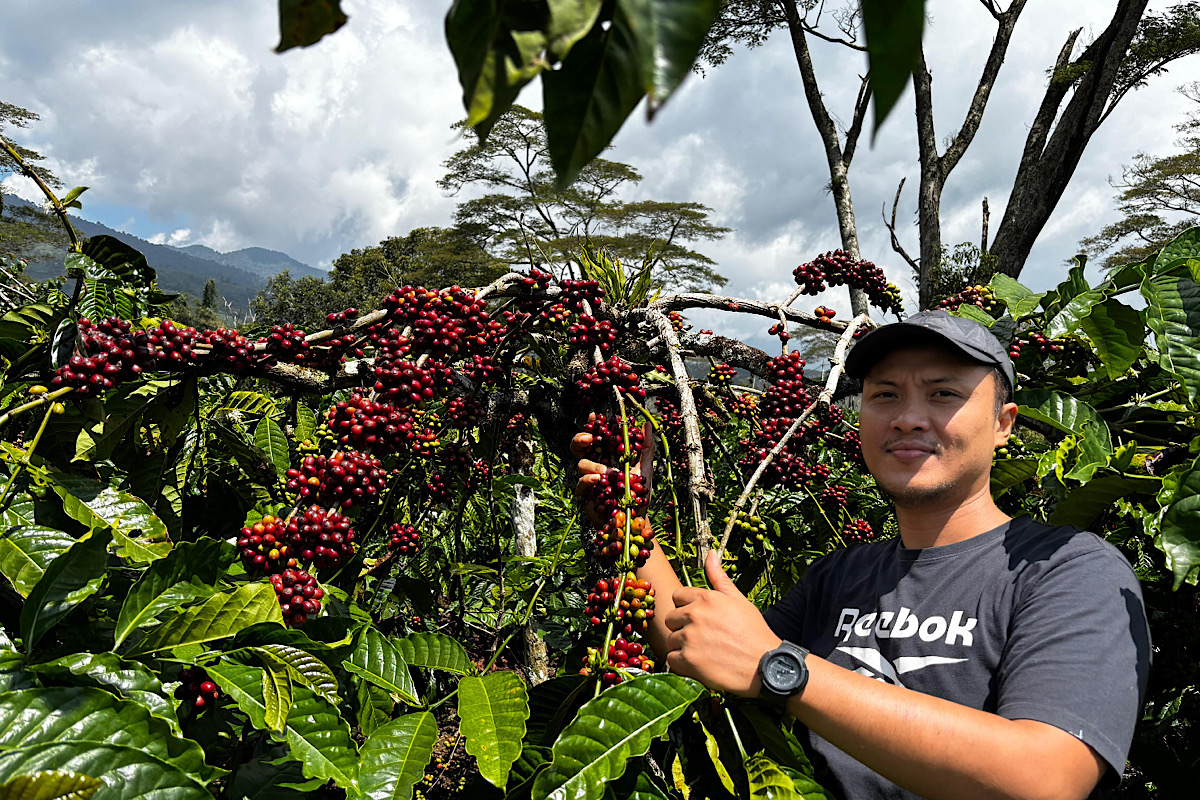 Dari 308 Peserta, Kopi Robusta Lahat Tembus Lima Besar Nasional di Kontes Kopi Spesialti Indonesia 2025