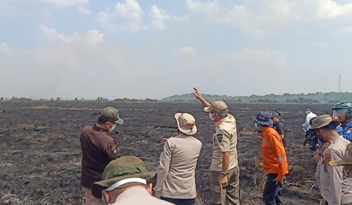 WOW! Ratusan Hektar Lahan Gambut Sepucuk OKI Terbakar, Bupati Iskandar Langsung Tinjau Lokasi