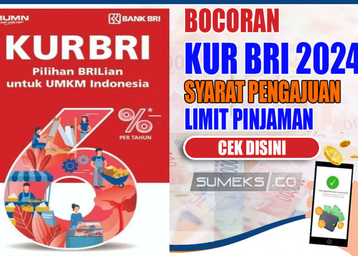 UMKM Wajib Tahu! Ini Syarat Mengajukan KUR BRI 2024, Cicilan dan Bunga Rendah