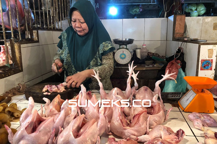 Harga Ayam-Cabai di Palembang Turun, Pedagang Semringah