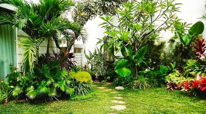 Tips Buat Taman Hijau di Samping Rumah, Meski Sempit 6 Desain Ini Dijamin Menyejukkan