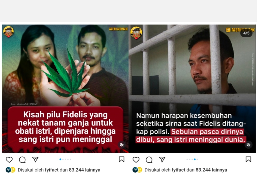 Kisah Fidelis Nekat Tanam Ganja untuk Obati Istri Berakhir Tragis, Dipenjara dan Istri Meninggal