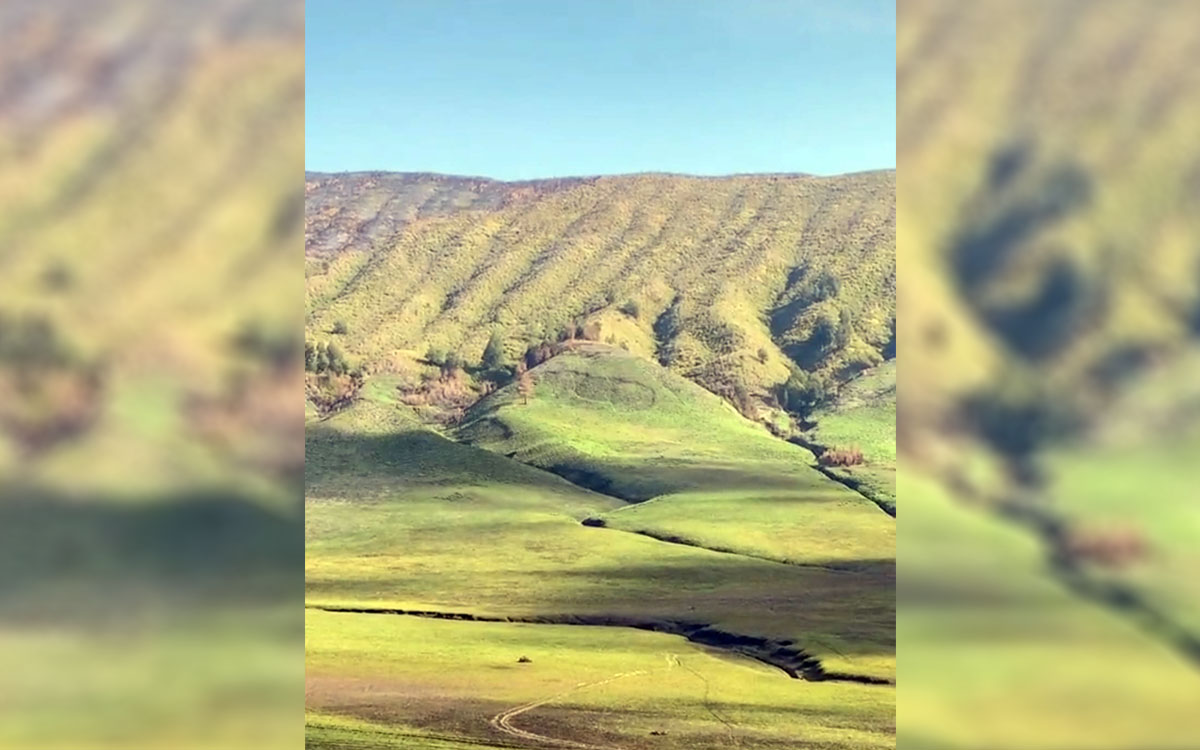 Cantiknya Savana Bromo Pasca Terbakar, Netizen : Jadi Indah, Kenapa Hidup Kita Enggak Ya? 