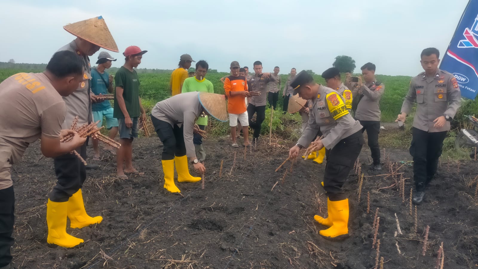 Dukung Program Ketahanan Pangan Nasional, Polres Ogan Ilir Tanam Singkong di Atas Lahan Seluas 40 Hektare