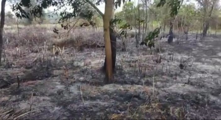 Tempo Sebulan di Tahun 2023, Lebih 5 Hektare Lahan Tak Bertuan di Ogan Ilir Terbakar, Satgas Waspada