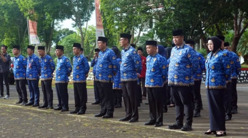 Jadi Temuan BPK Sumsel, ASN Banyuasin Tidak Boleh Menerima Honor?