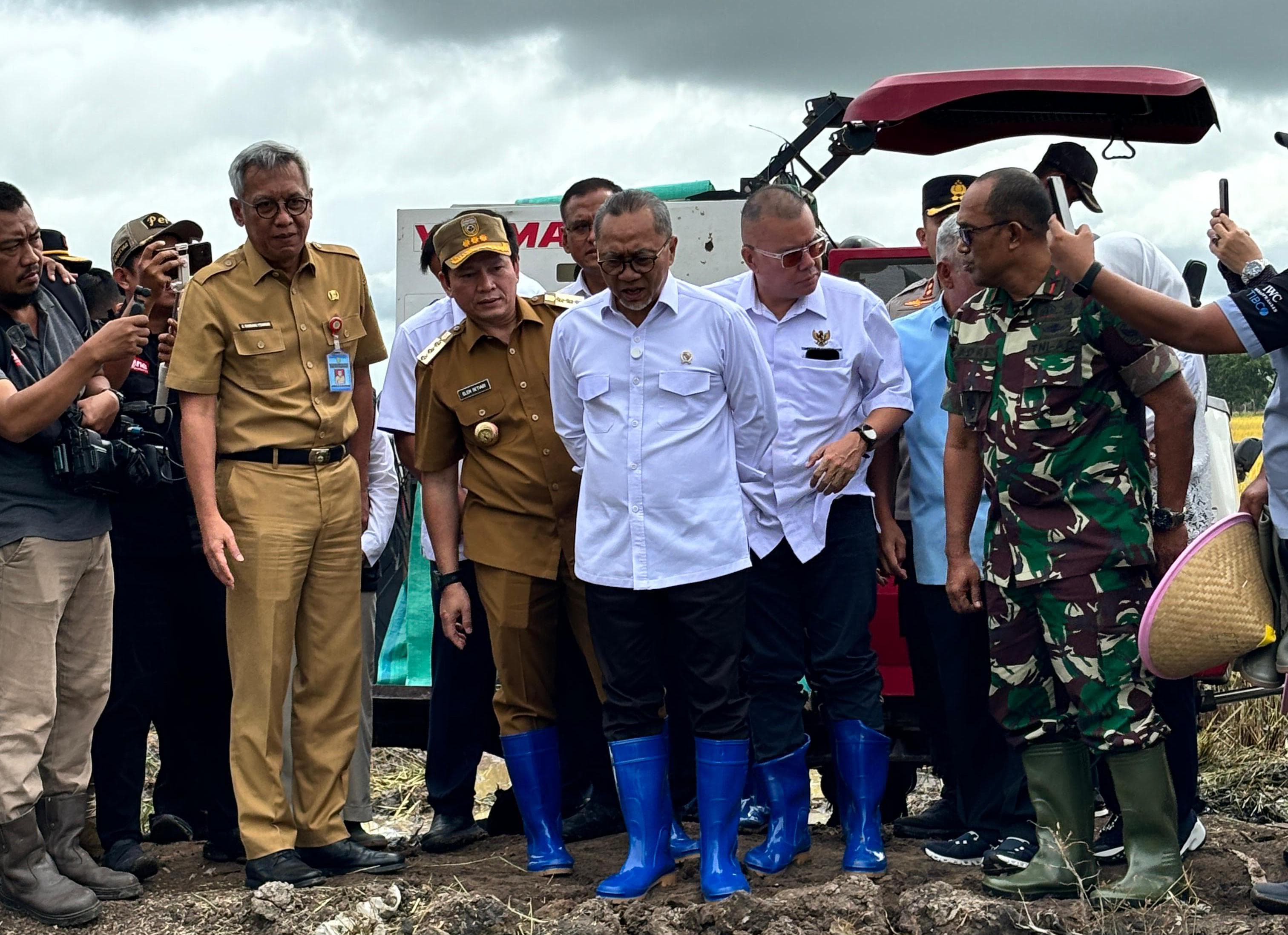 Menko Perekonomian Zulhas Tegaskan Pabrik Wajib Beli Gabah Petani Seharga Rp 6.500 per Kg