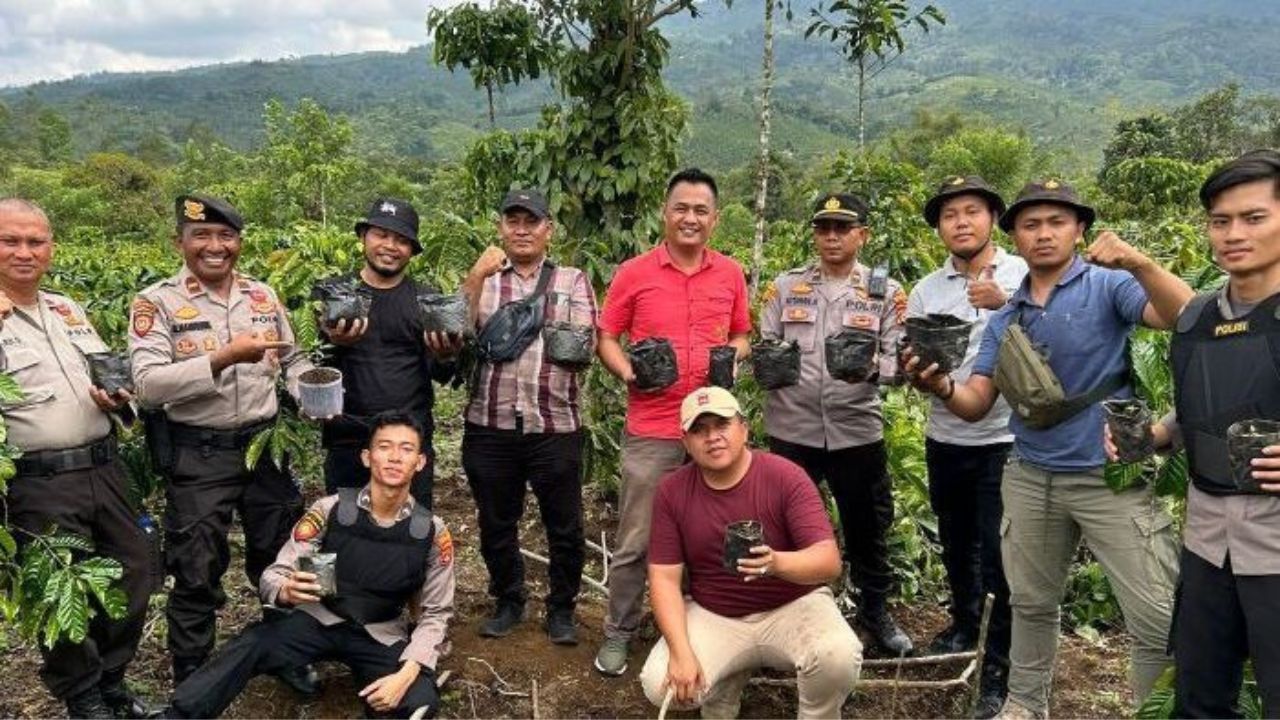 Warga Lampung Punya Ladang Ganja di OKU Selatan, Polisi Amankan Puluhan Batang dan Belasan Bibit