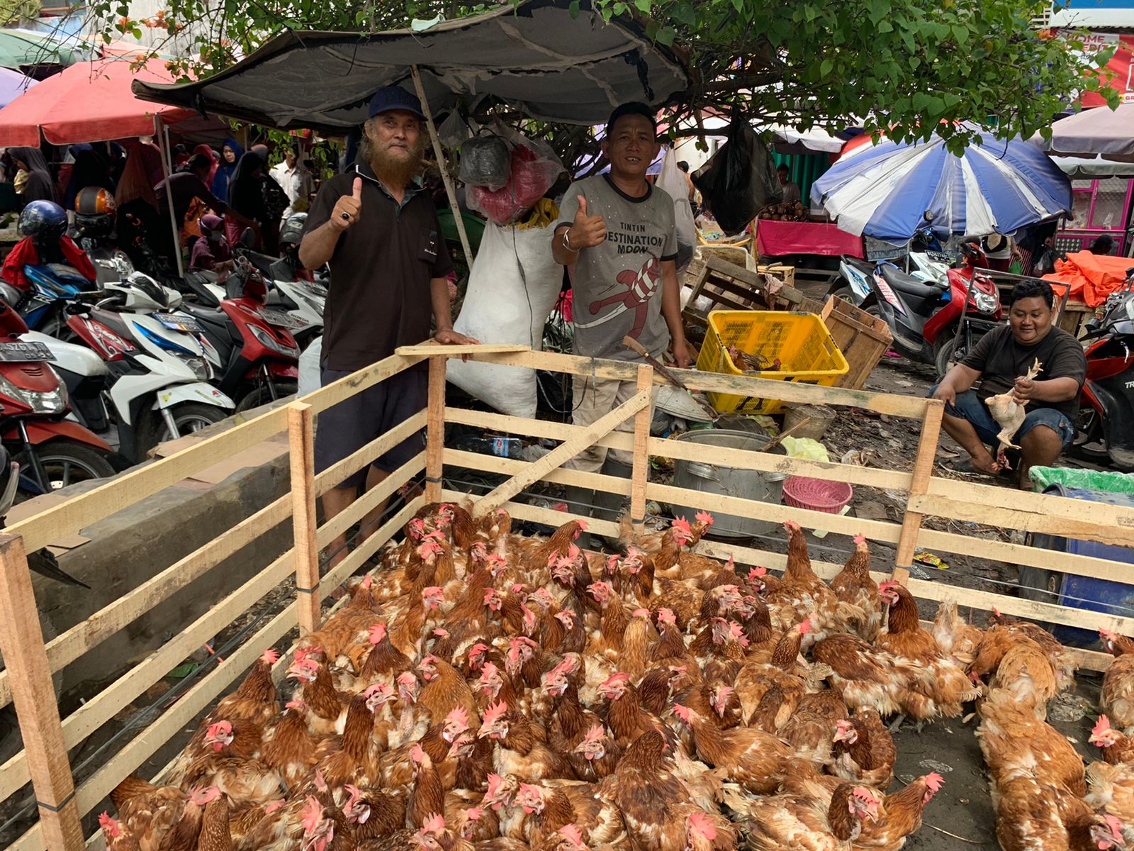 WOW, Harga Ayam Merah Meroket, Pedagang di Palembang Ini Jual Ratusan Potong jelang Lebaran 2023